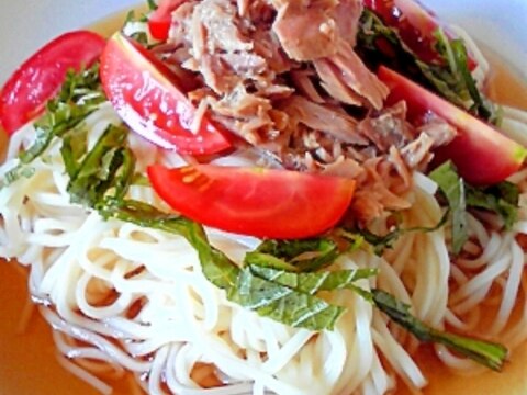 夏のお昼に。サラダ麺